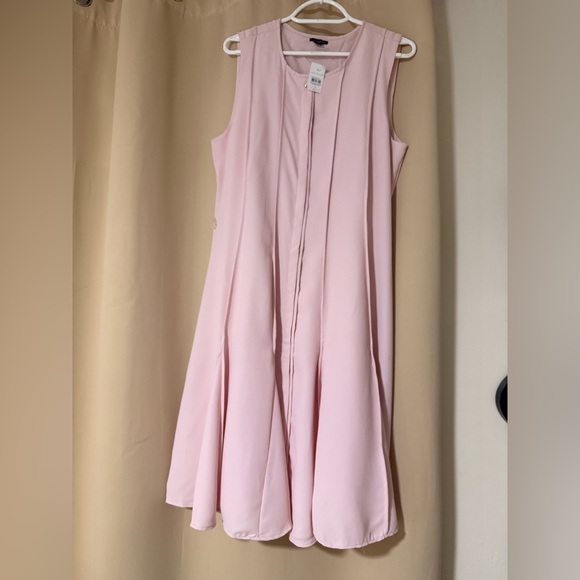 🔥 Closet Sale! Ann Taylor Soft Pink Sleeveless Midi Dress - Picture 4 of 4